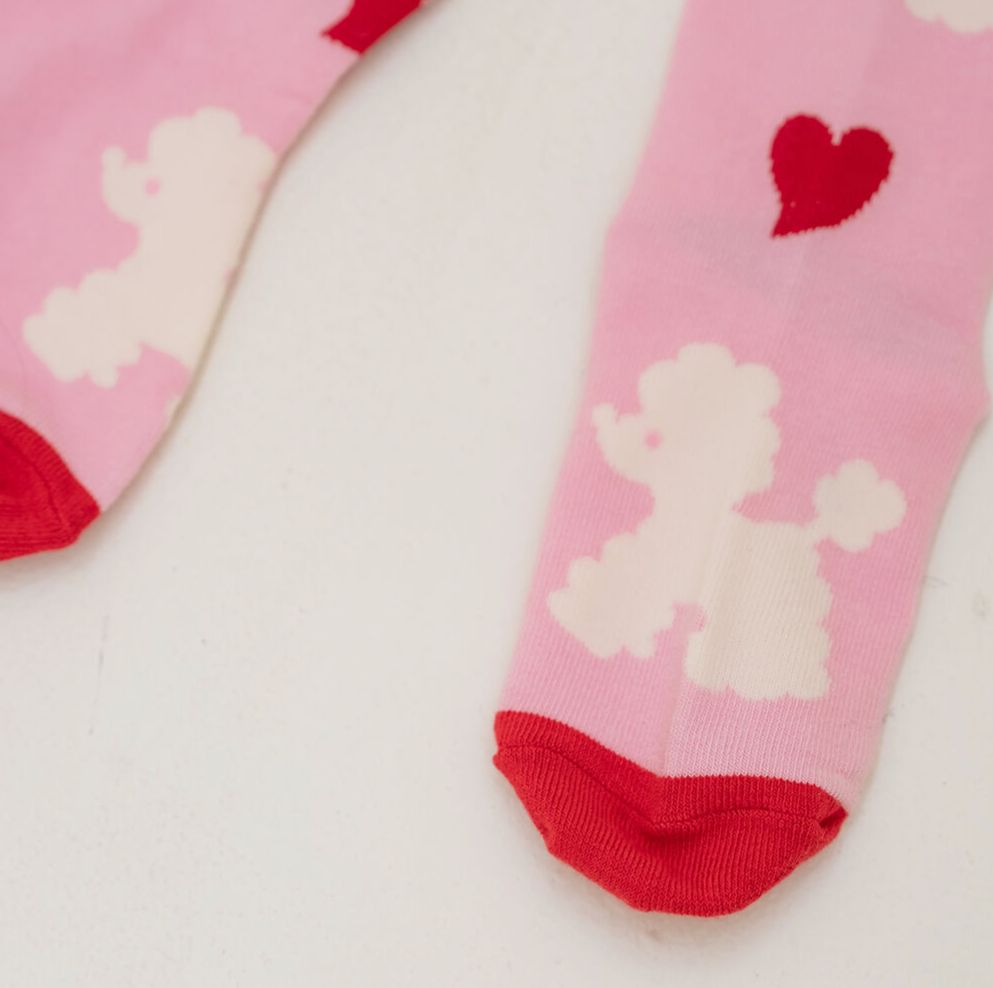 poodle ribbon socks set